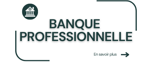 banque-professionnelle